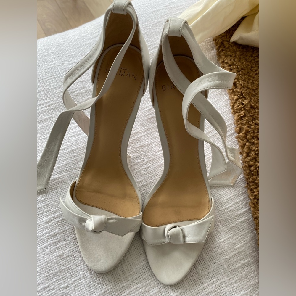 Birman Clarita size 40